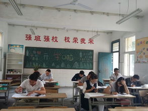 點航教育之一學歷咨詢篇 精準規劃，點亮升學之路